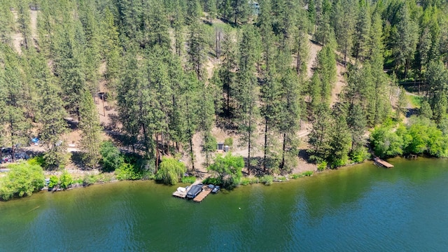 6533 D Lois Way, Nine Mile Falls, WA 99026 - aerial view of a nearby body of water and a forest