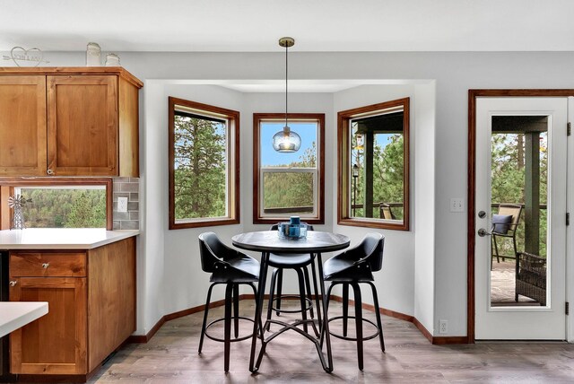 6533 D Lois Way, Nine Mile Falls, WA 99026 - dining space with baseboards, plenty of natural light, and light wood-style floors