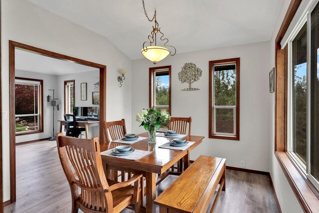 6533 D Lois Way, Nine Mile Falls, WA 99026 - dining space with vaulted ceiling, wood finished floors, and baseboards