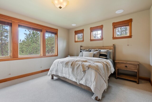 1122 E Hangman Ln, Spokane, WA 99224 - bedroom with carpet floors and baseboards
