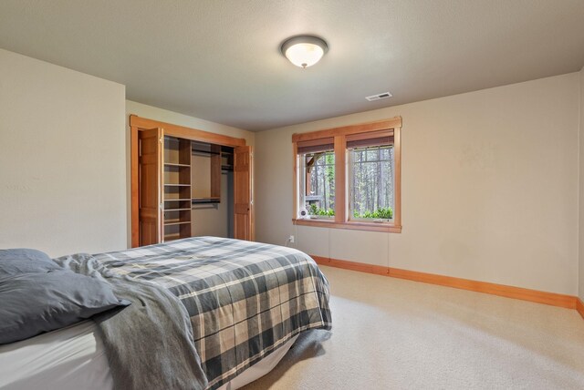 1122 E Hangman Ln, Spokane, WA 99224 - carpeted bedroom with baseboards and a closet