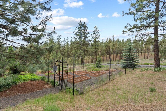 1122 E Hangman Ln, Spokane, WA 99224 - view of yard featuring a garden