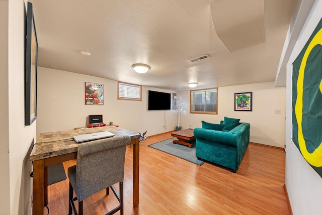 3507 E 28th Ave, Spokane, WA 99223 - living room featuring light wood-type flooring and healthy amount of natural light