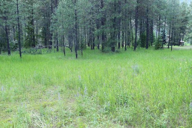 3733 C Sand Creek Rd, Kettle Falls, WA 99141