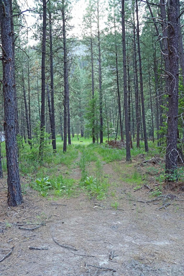 3733 C Sand Creek Rd, Kettle Falls, WA 99141