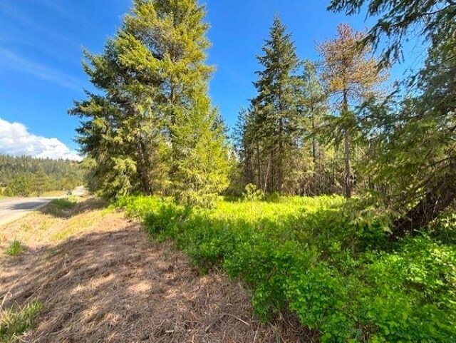 41XX W Cemetery Rd, Springdale, WA 99173 - photo 1