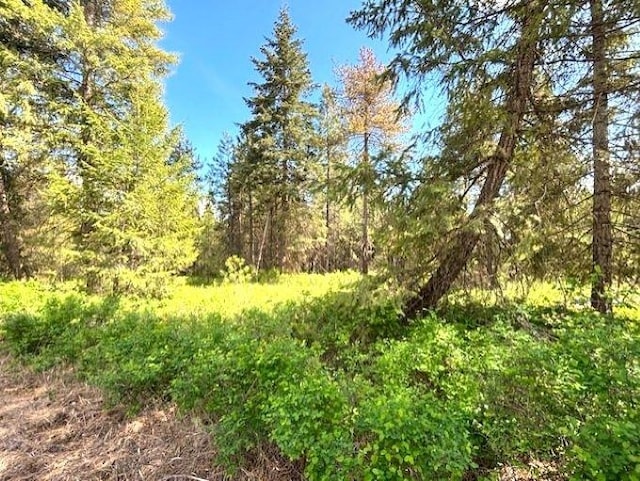 41XX W Cemetery Rd, Springdale, WA 99173 - photo 4