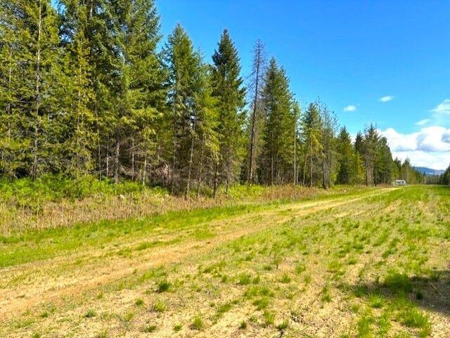 41XX W Cemetery Rd, Springdale, WA 99173 - photo 5