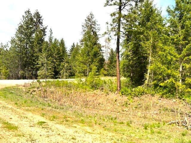 41XX W Cemetery Rd, Springdale, WA 99173 - photo 6