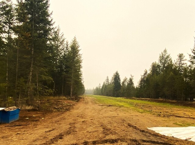 41XX W Cemetery Rd, Springdale, WA 99173 - photo 9