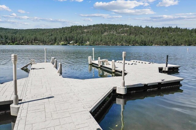 6619 Long Lake Dr, Nine Mile Falls, WA 99026 - photo 44