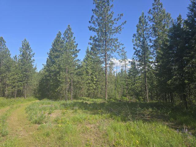 3418 Kingsbury Lake Way, Kettle Falls, WA 99141