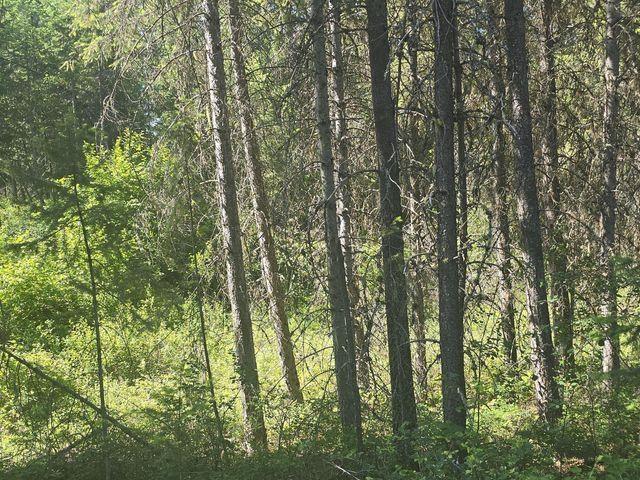 3418 Kingsbury Lake Way, Kettle Falls, WA 99141