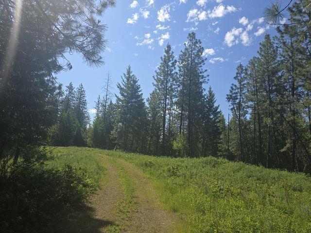 3418 Kingsbury Lake Way, Kettle Falls, WA 99141
