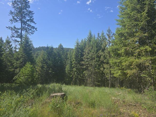 3418 Kingsbury Lake Way, Kettle Falls, WA 99141