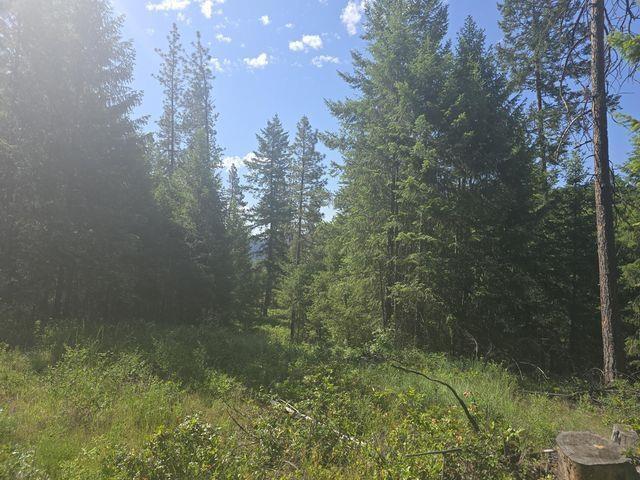 3418 Kingsbury Lake Way, Kettle Falls, WA 99141