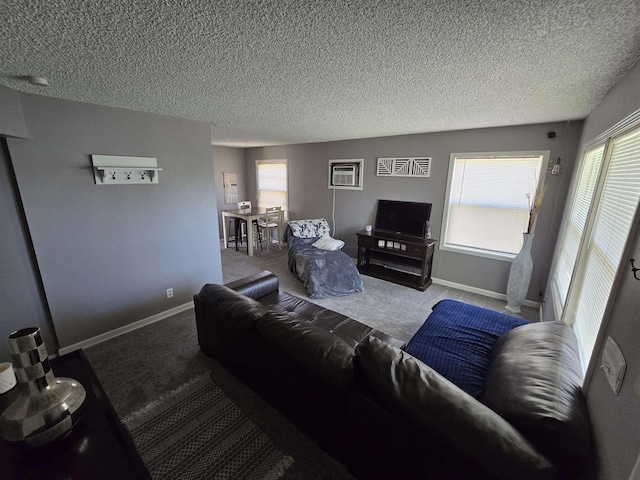 1117 E Garland Ave, Spokane, WA 99207 - living area featuring carpet, a wall unit AC, a textured ceiling, and healthy amount of natural light