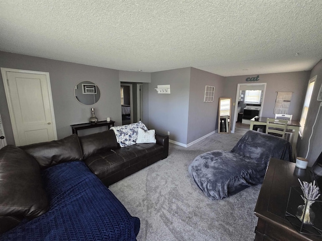 1117 E Garland Ave, Spokane, WA 99207 - carpeted living room featuring baseboards and a textured ceiling