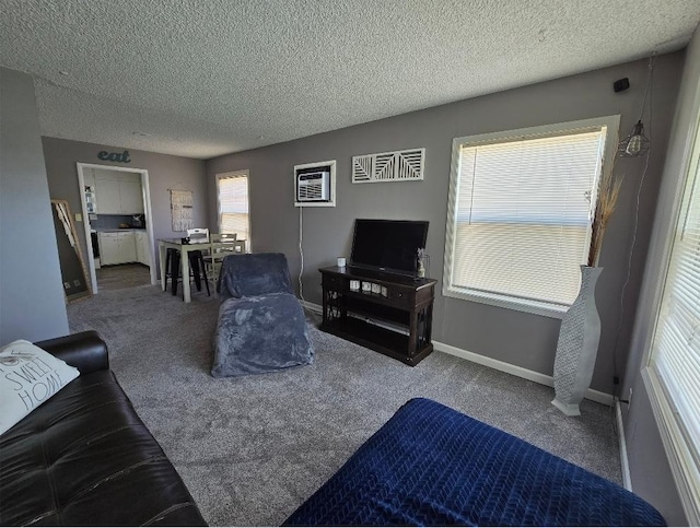 1117 E Garland Ave, Spokane, WA 99207 - living area with carpet flooring, a textured ceiling, and baseboards