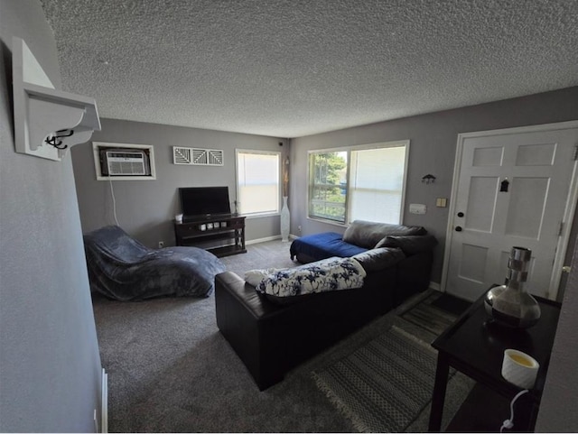 1117 E Garland Ave, Spokane, WA 99207 - living room with carpet flooring, a textured ceiling, and a wall unit AC
