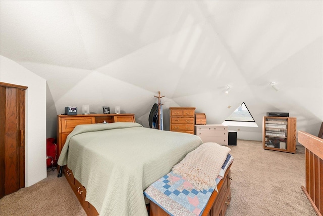 1470 State Route 174th Rte, Grand Coulee, WA 99133 - bedroom with vaulted ceiling and light carpet