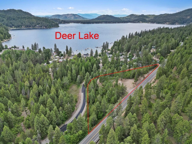 45XX E Deer Lake Way, Loon Lake, WA 99148
