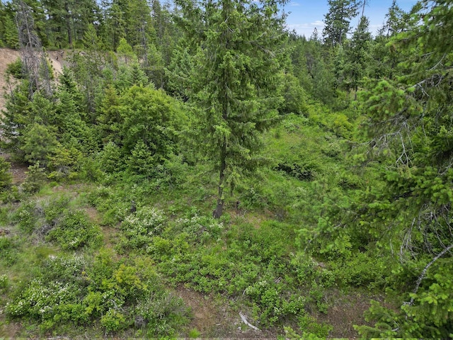 45XX E Deer Lake Way, Loon Lake, WA 99148