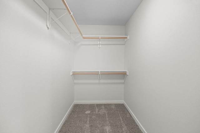 101 S W St, Chewelah, WA 99109 - walk in closet with carpet floors