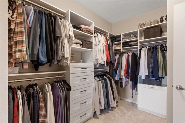 696 W Basalt Ridge Dr, Spokane, WA 99224 - spacious closet with light carpet