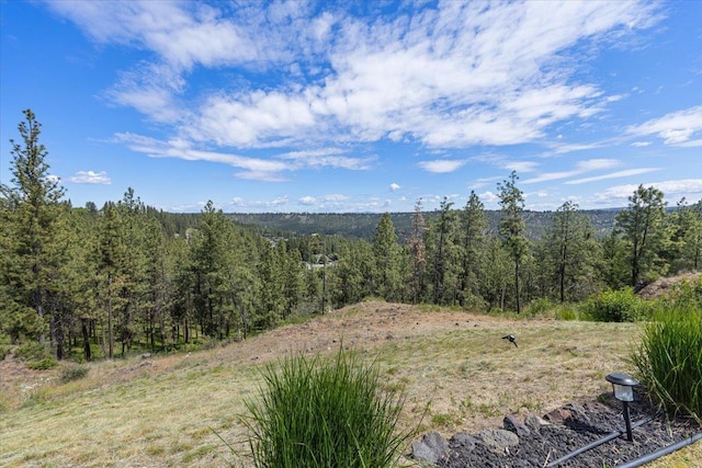 696 W Basalt Ridge Dr, Spokane, WA 99224 - view of yard featuring a view of trees