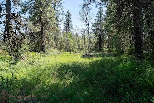 NKA W Anderson Rd, Cheney, WA 99004 - photo 12