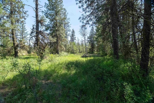 NKA W Anderson Rd, Cheney, WA 99004 - photo 13