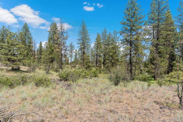 NKA W Anderson Rd, Cheney, WA 99004 - photo 20
