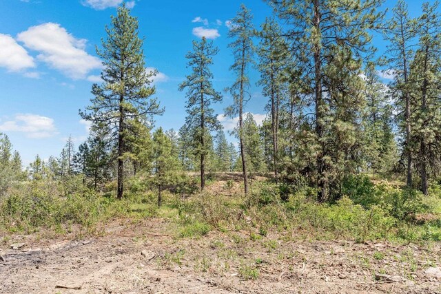 NKA W Anderson Rd, Cheney, WA 99004 - photo 4
