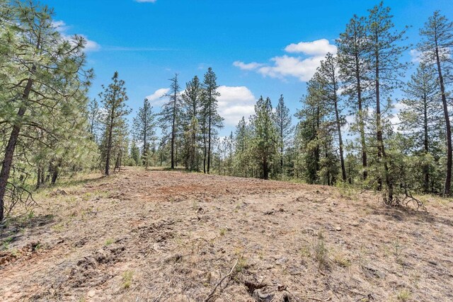 NKA W Anderson Rd, Cheney, WA 99004 - photo 8