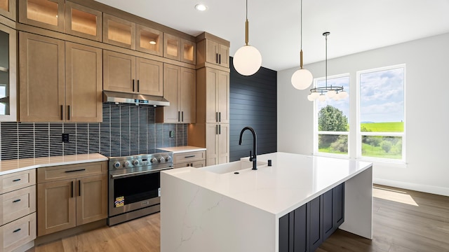 8521 W Dahl Rd, Deer Park, WA 99006 - kitchen featuring stainless steel range oven, under cabinet range hood, a sink, tasteful backsplash, and light wood-type flooring