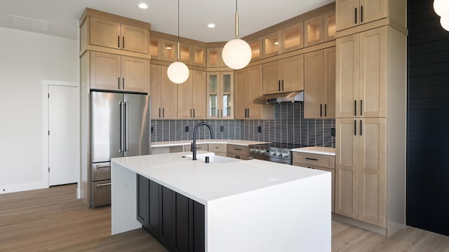 8521 W Dahl Rd, Deer Park, WA 99006 - kitchen featuring high end appliances, under cabinet range hood, light wood finished floors, a sink, and recessed lighting