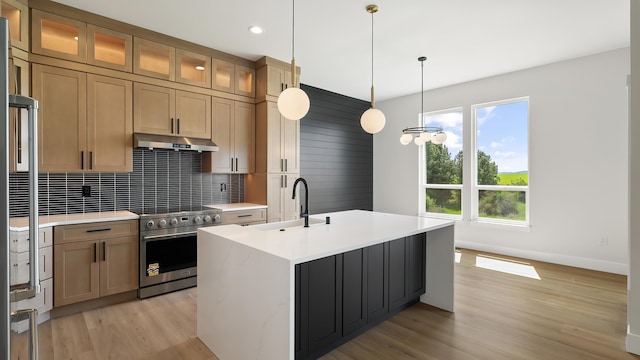 8521 W Dahl Rd, Deer Park, WA 99006 - kitchen featuring stainless steel stove, a sink, under cabinet range hood, light wood finished floors, and recessed lighting