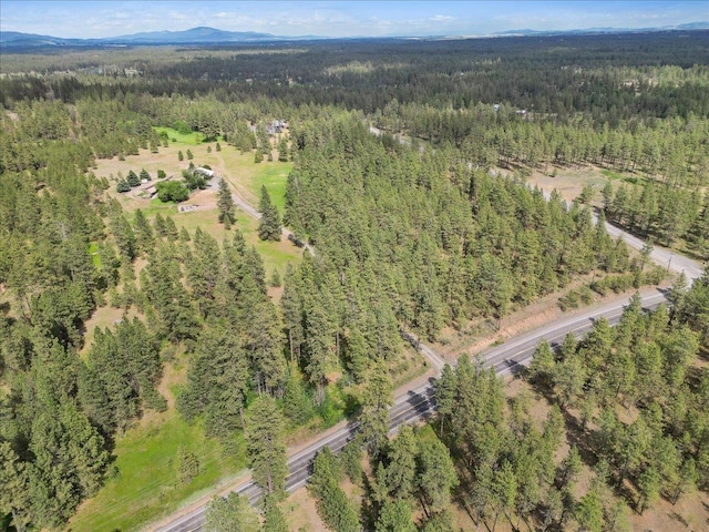 21123 S Cheney Spangle Rd, Cheney, WA 99004 - aerial view of property's location featuring a forest and mountains