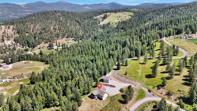 15415 E Timbercrest Ln, Mead, WA 99021 - aerial view of property's location with a forest and a mountainous background