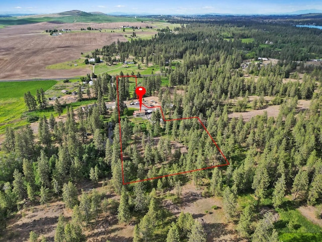22417 W Malloy Prairie Rd, Cheney, WA 99004 - photo 29