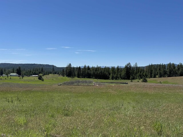 4091 Jepsen Rd, Springdale, WA 99173 - photo 1