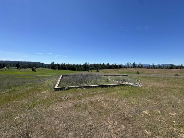 4091 Jepsen Rd, Springdale, WA 99173 - photo 2