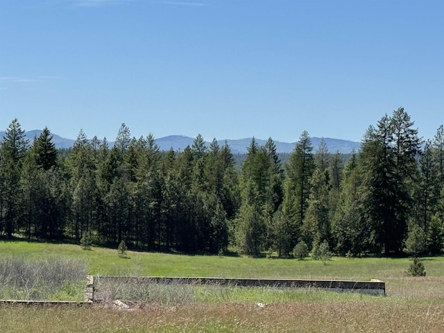 4091 Jepsen Rd, Springdale, WA 99173 - photo 3