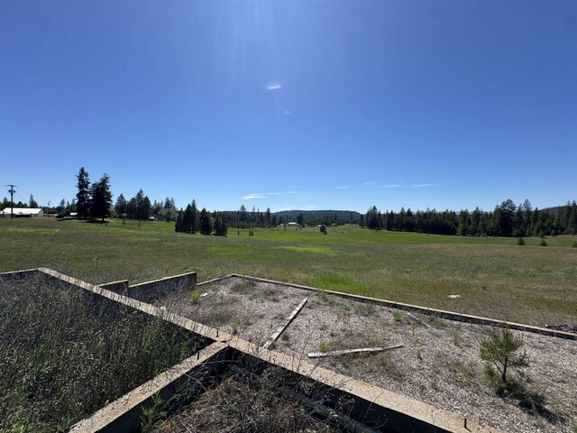4091 Jepsen Rd, Springdale, WA 99173 - photo 5