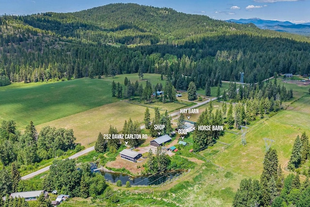252 Davaz-Carlton Rd, Newport, WA 99156 - aerial view of property and surrounding area featuring a forest and a mountainous background