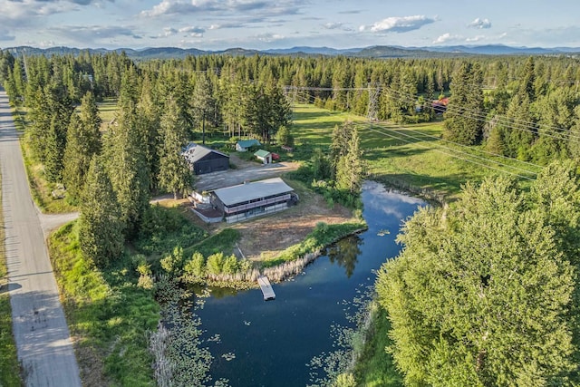 252 Davaz-Carlton Rd, Newport, WA 99156 - view of subject property with a water and mountain view and a forest