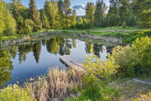 252 Davaz-Carlton Rd, Newport, WA 99156 - dock featuring a water view and a view of trees