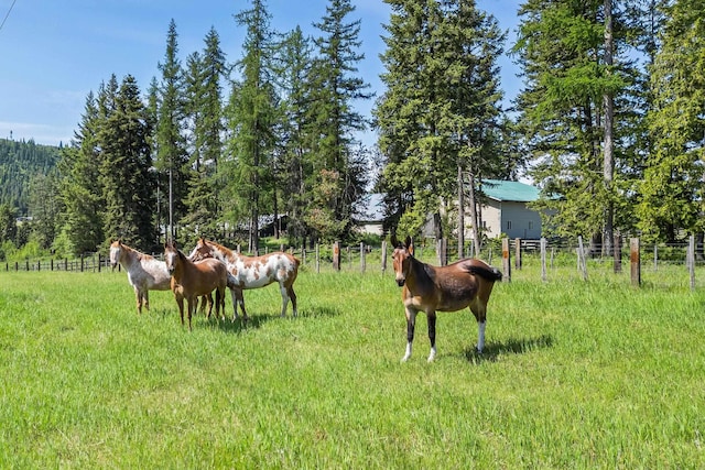 252 Davaz-Carlton Rd, Newport, WA 99156 - view of yard with a rural view