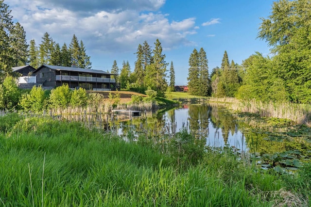 252 Davaz-Carlton Rd, Newport, WA 99156 - water view